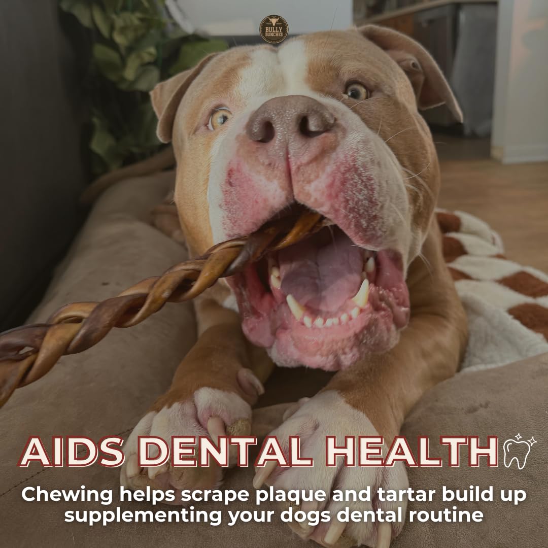 Bully Bunches uso diario para perro, perfecto como snack masticable durante el día.