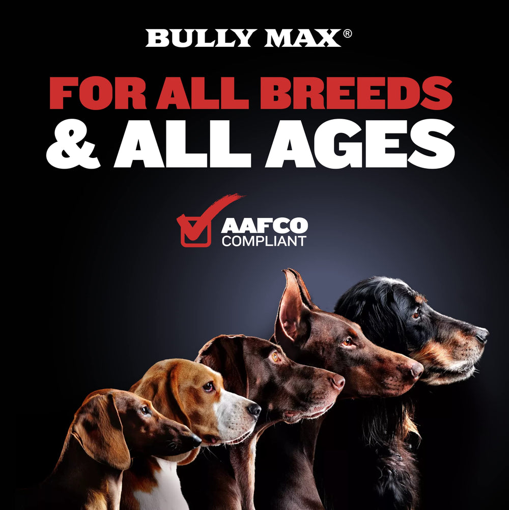 Bully Max formula-natural-sin-colorantes: opción segura para perros sensibles.