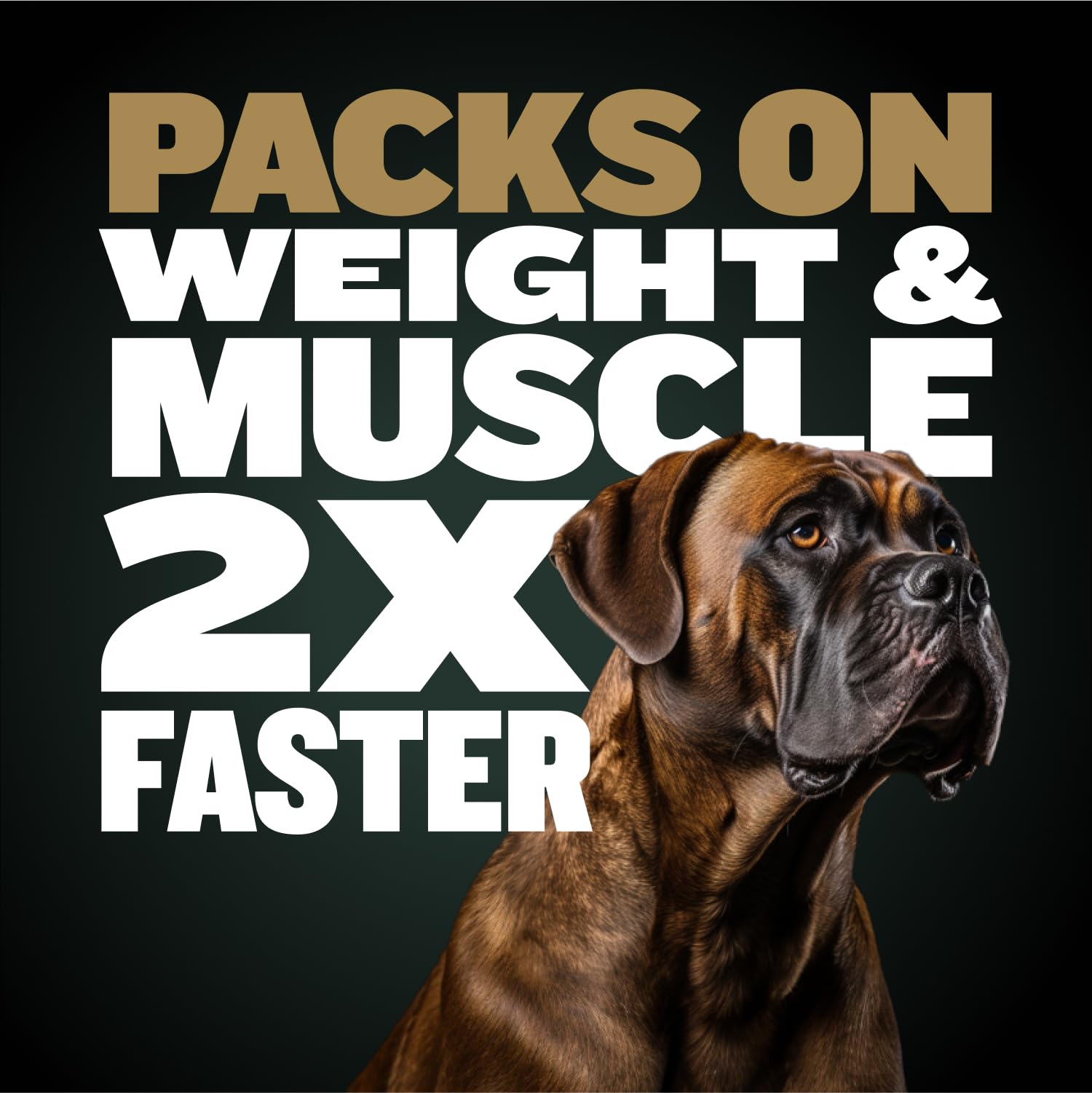Bully Max Pro 2X vitaminas y minerales esenciales para la salud diaria.