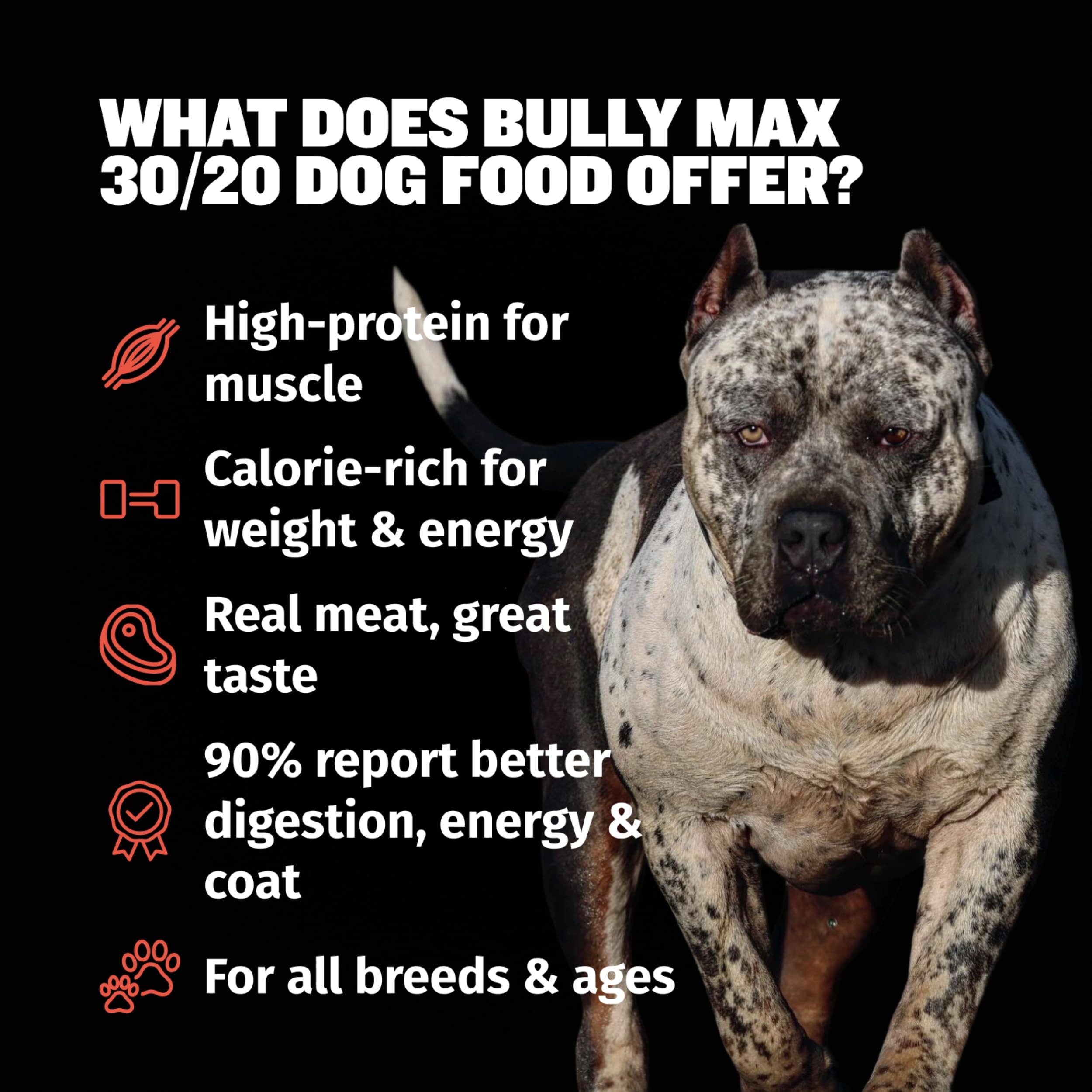Bully Max probióticos e inulina, apoyo digestivo y equilibrio intestinal.