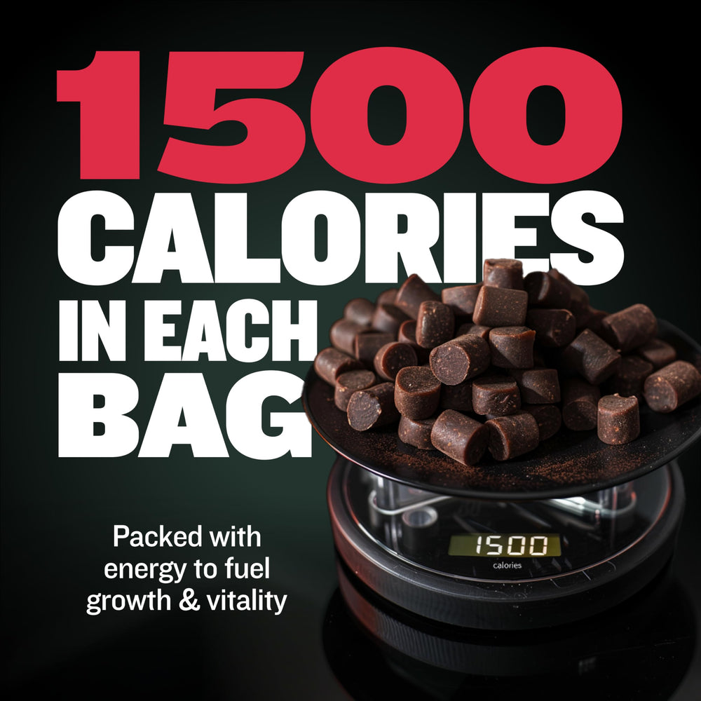 Bully Max Weight Gainer: probióticos para salud digestiva del perro