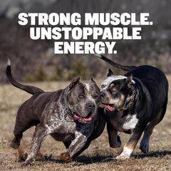 Bully Max proteína alta 30/20, etiqueta fresca para nutrición óptima.