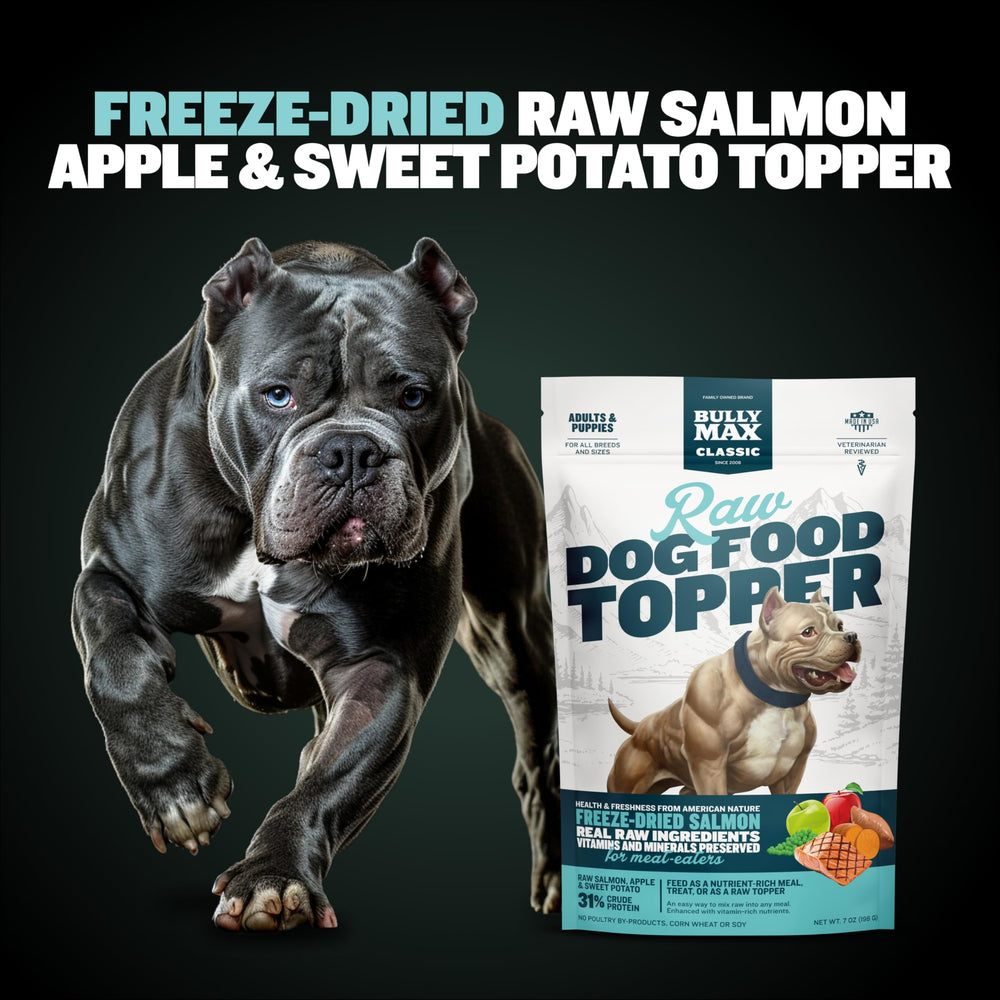 Bully Max complemento de salmón para perros y cachorros, ideal para variedad.