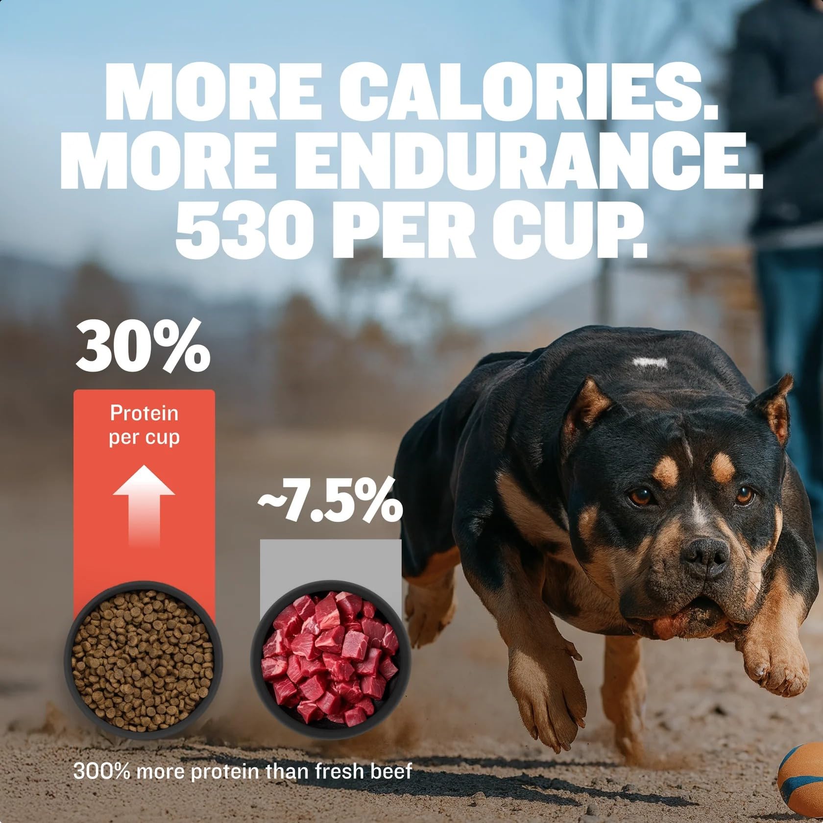 Bully Max superalimentos para perros, mezcla de bayas y verduras para defensa natural.