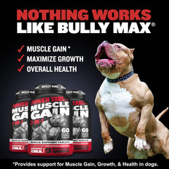 Tabletas naturales Bully Max con ingredientes de calidad para la salud general