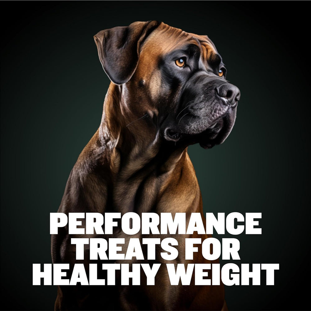 Bully Max Weight Gainer, ingredientes naturales para la digestión y bienestar.