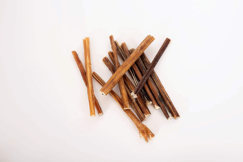 Detalle de la textura del Bullysticks Organic Standard, masticación suave y consistente