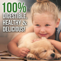 Perro masticando un Bullysticks Organic Standard, opción natural para mantenerlo ocupado