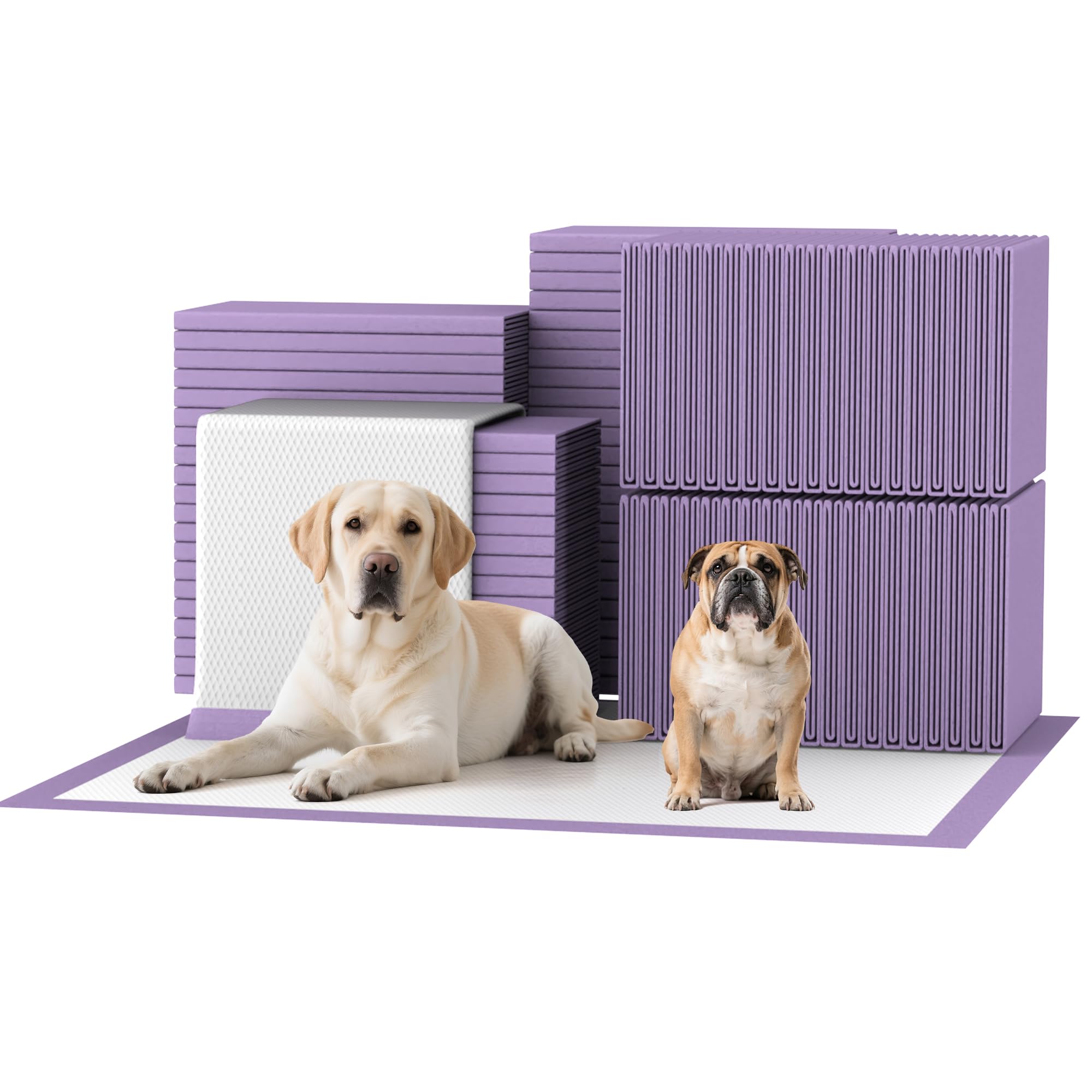 Almohadilla Bulubaky lavanda 30x36 para entrenamiento de perros