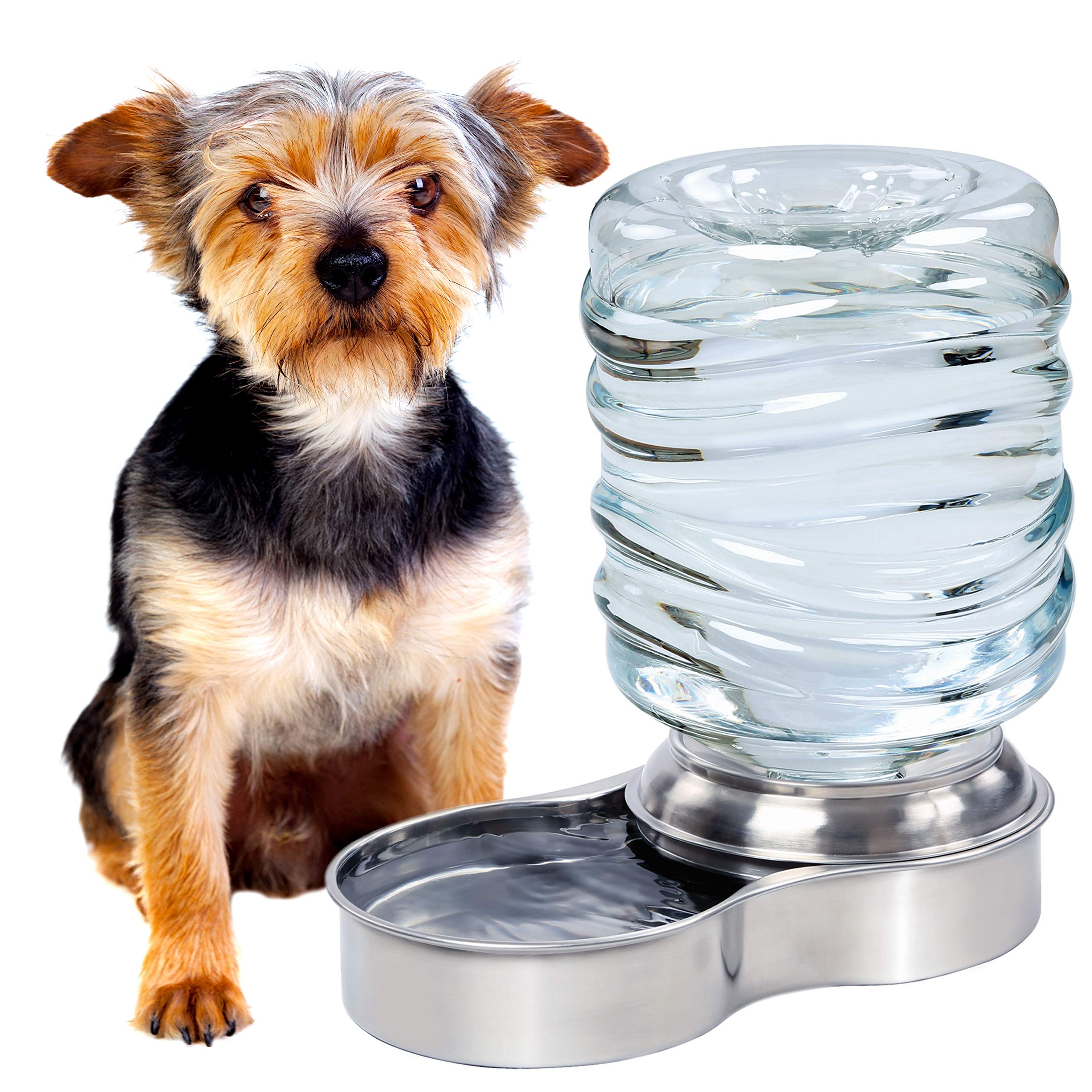 Bundaloo dispensador de agua para perros con recarga automática y suministro constante