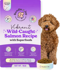 Bundle x Joy alimento seco para perros con salmón real, apoyo a la digestión.