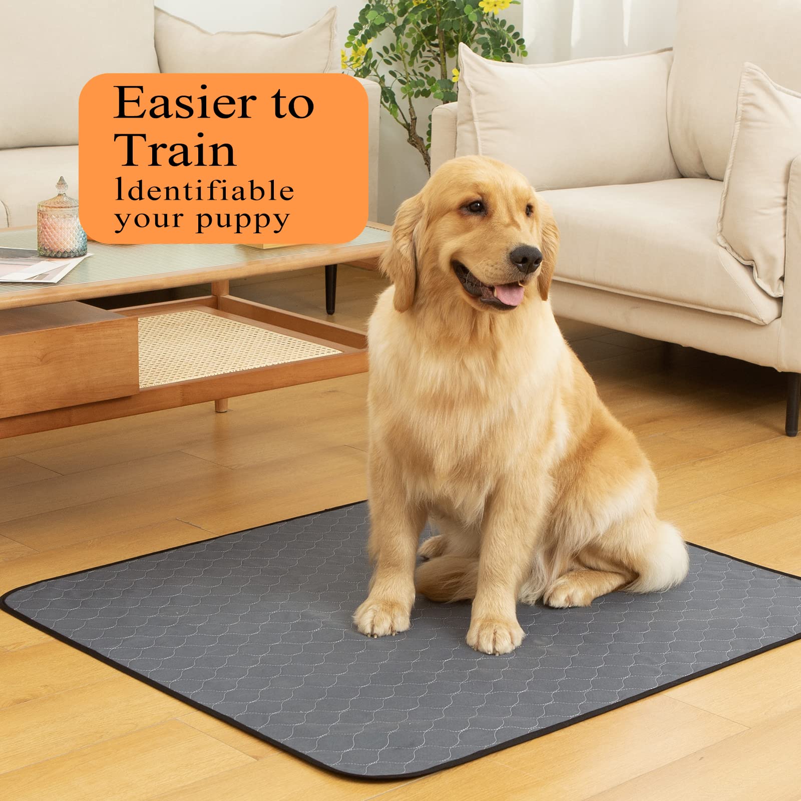 Bunlitent almohadilla lavable con absorción rápida para cachorros