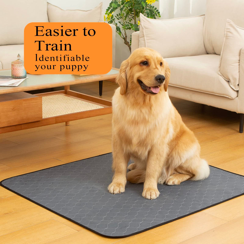 Bunlitent almohadilla lavable con absorción rápida para cachorros