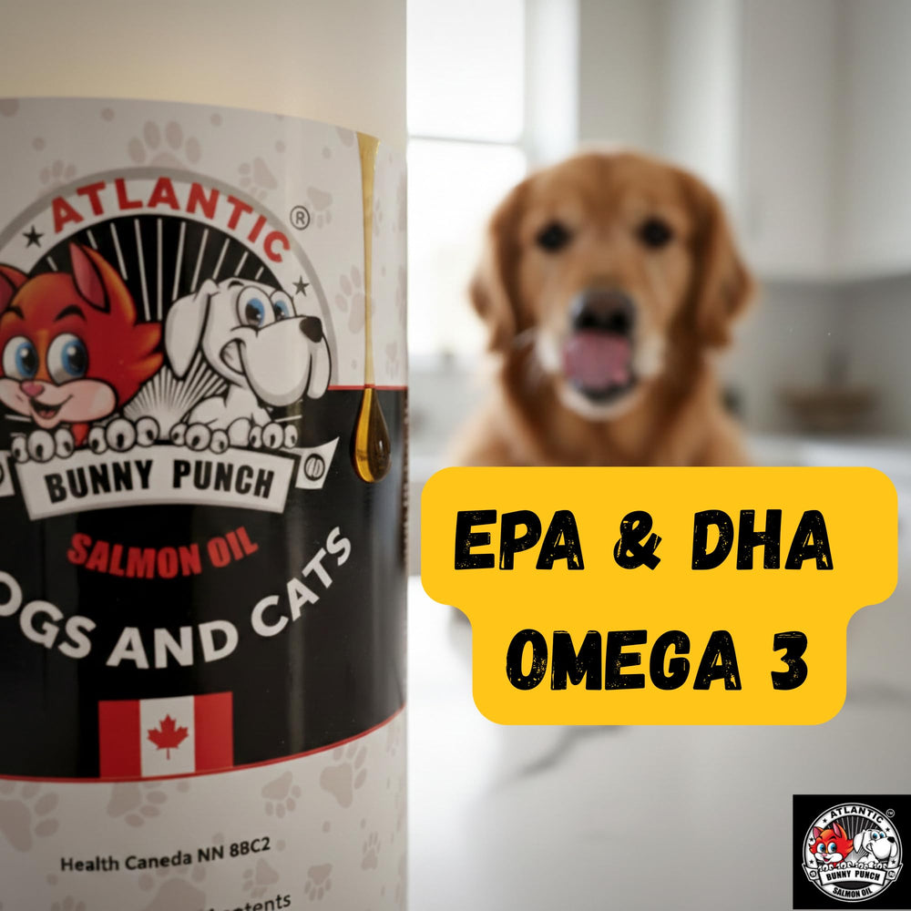 Aroma apetitoso que facilita la ingesta diaria.