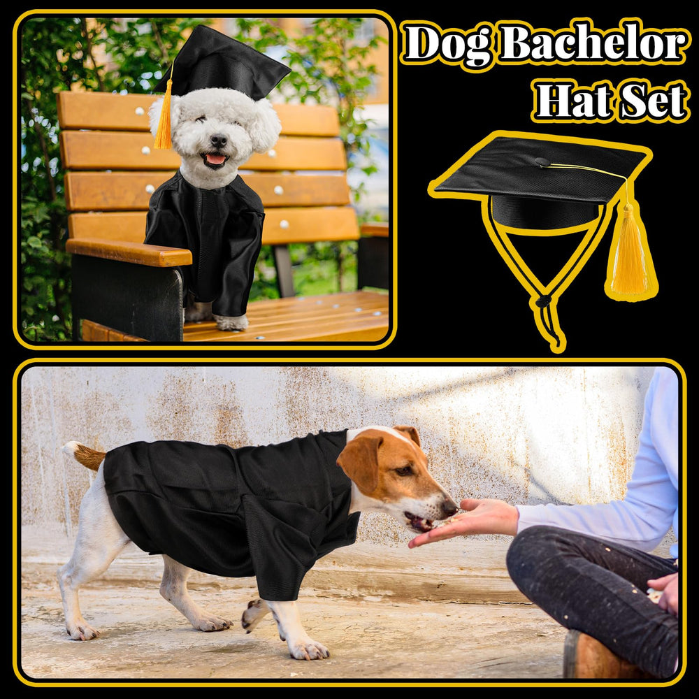 Bunnycool accesorio graduación mascotas: versátil para diferentes ocasiones.