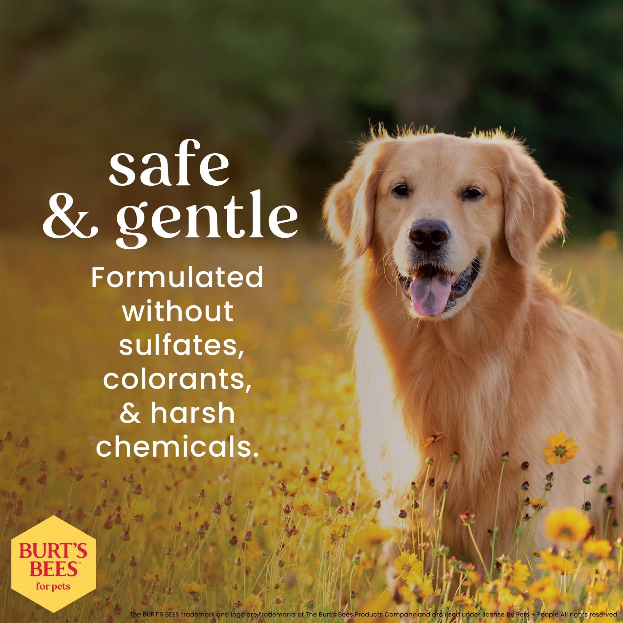 Burt's Bees for Pets aplicación suave en patas para mantener la suavidad.