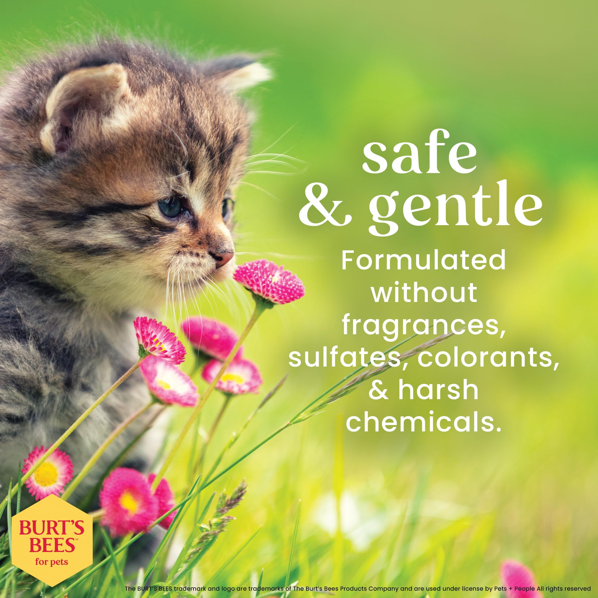 Pelo suave e hidratado tras lavado con BURT'S BEES FOR PETS