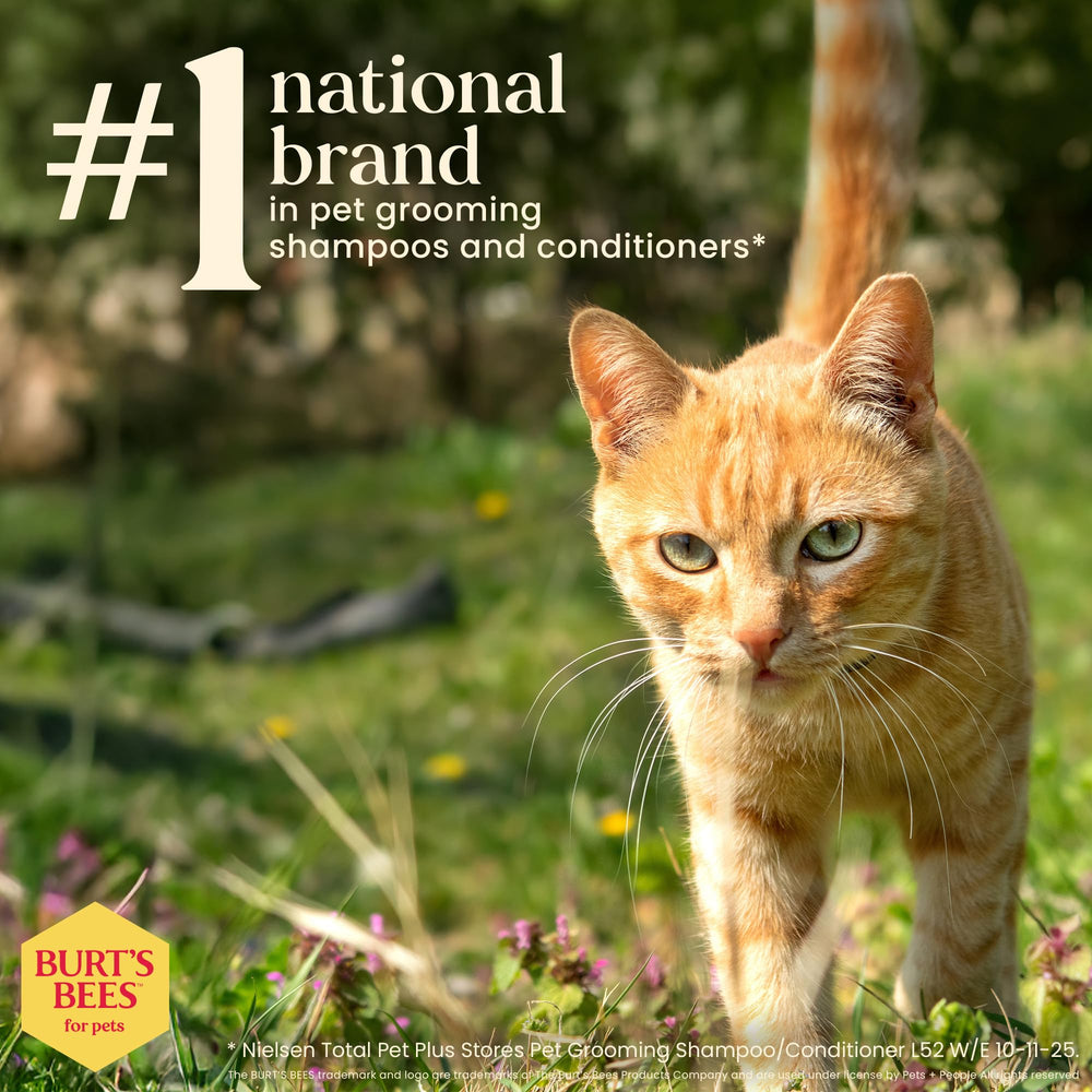 BURT'S BEES FOR PETS Waterless Cat Shampoo Spray, manteca de shea cuida la piel durante la limpieza.