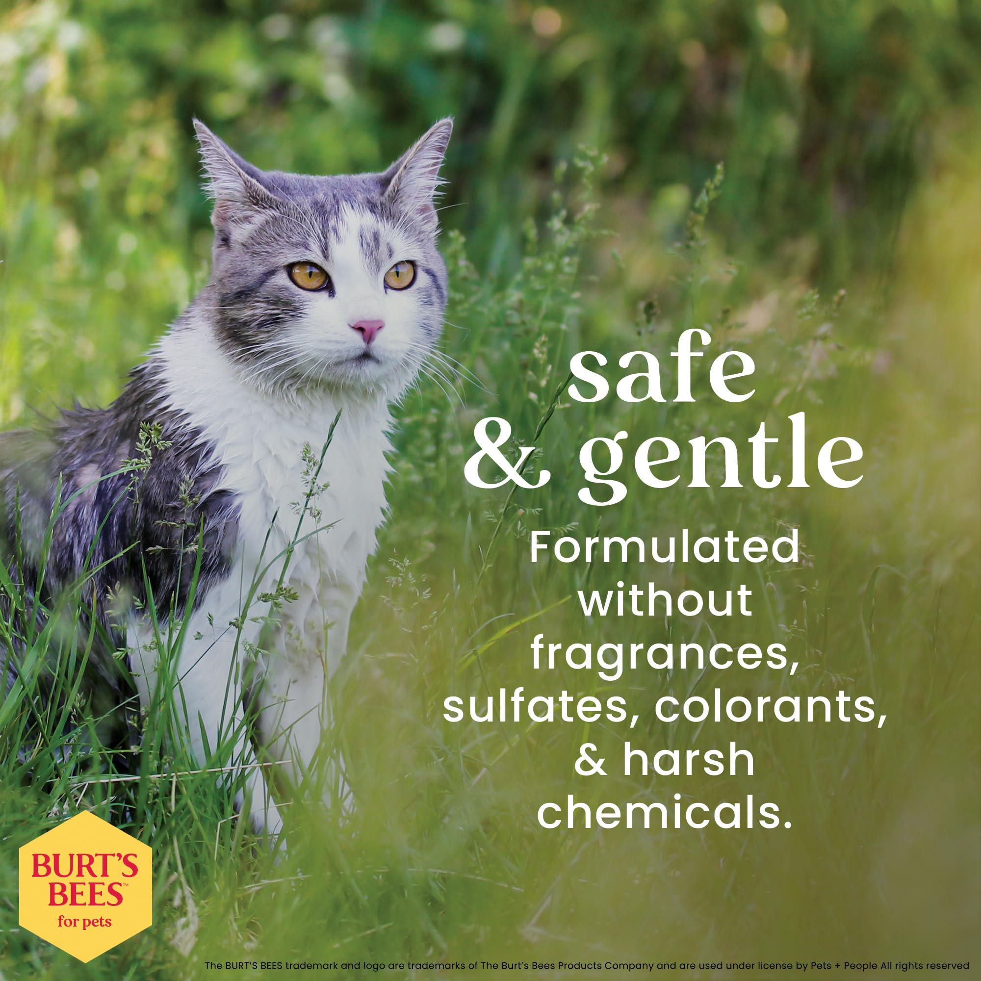 BURT'S BEES FOR PETS champú manteca karite miel ayuda a acondicionar el pelaje sin pesadez.