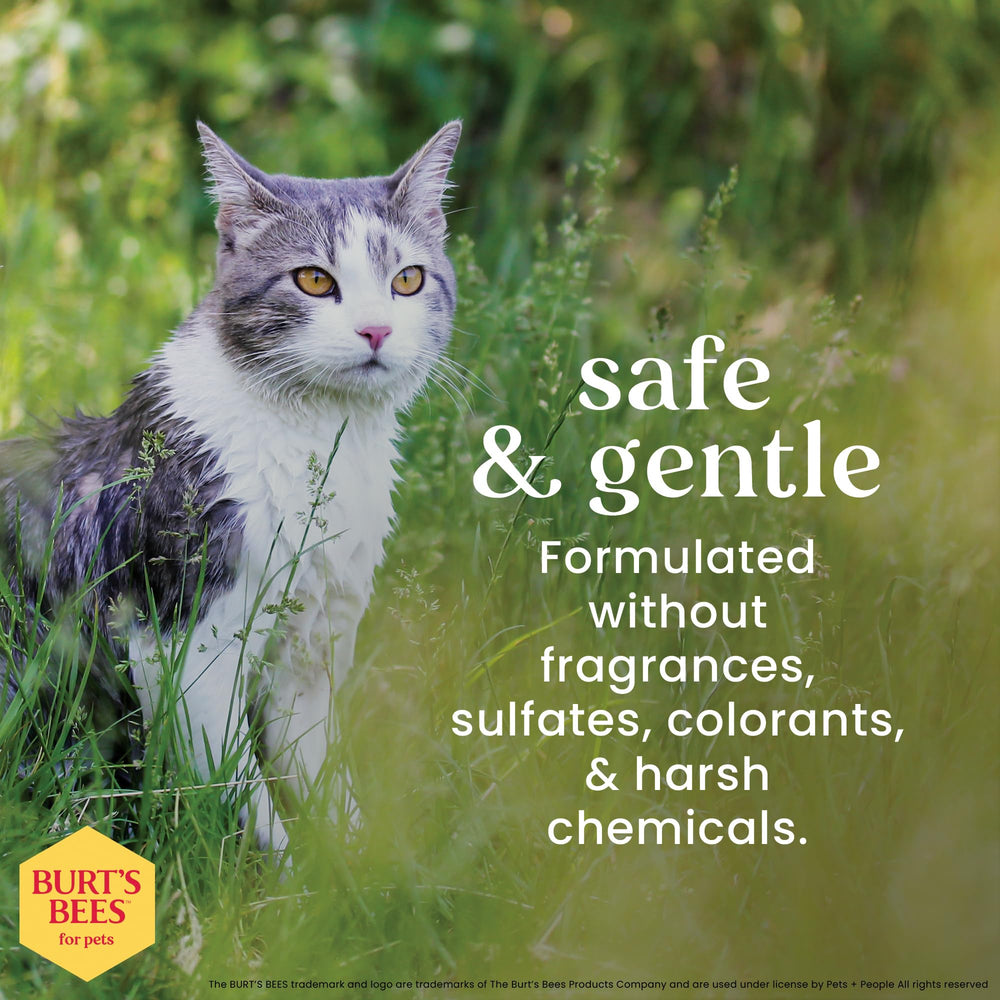 BURT'S BEES FOR PETS champú manteca karite miel ayuda a acondicionar el pelaje sin pesadez.