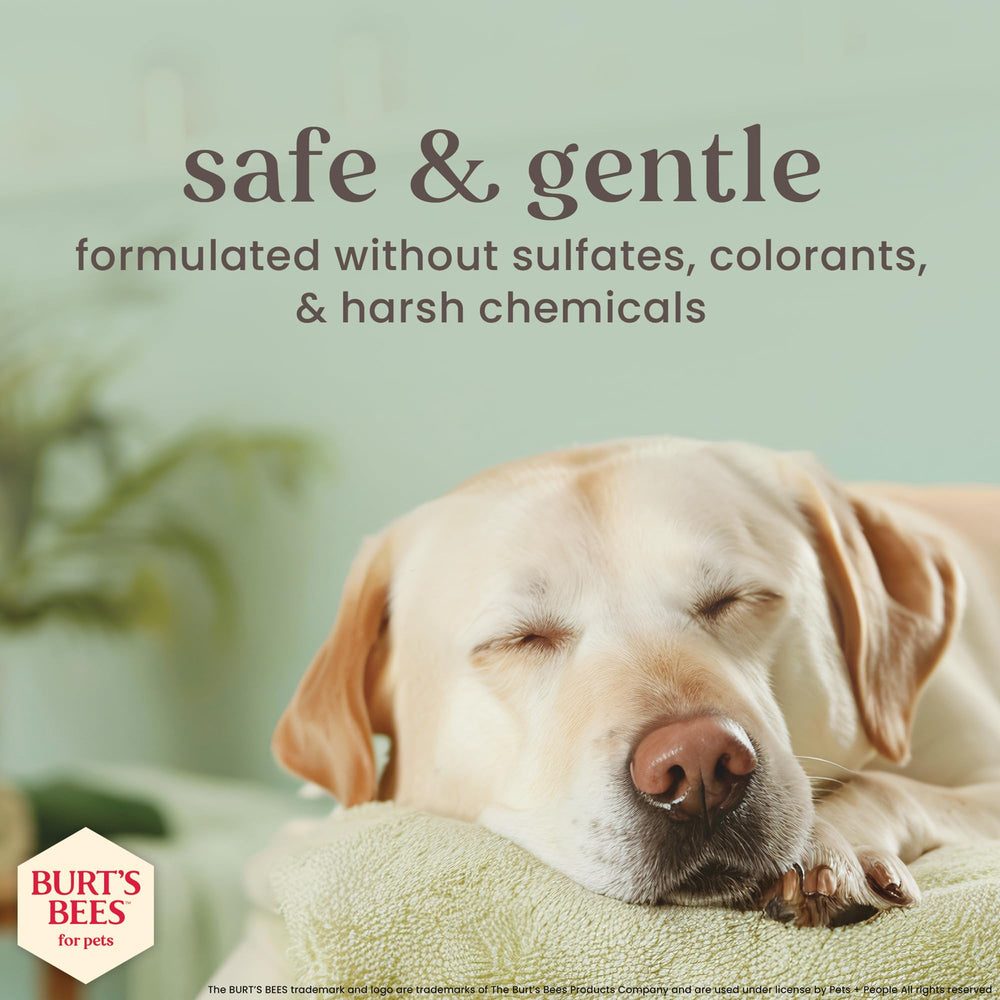 Aroma suave de lavanda y té verde en Burt’s Bees mascotas