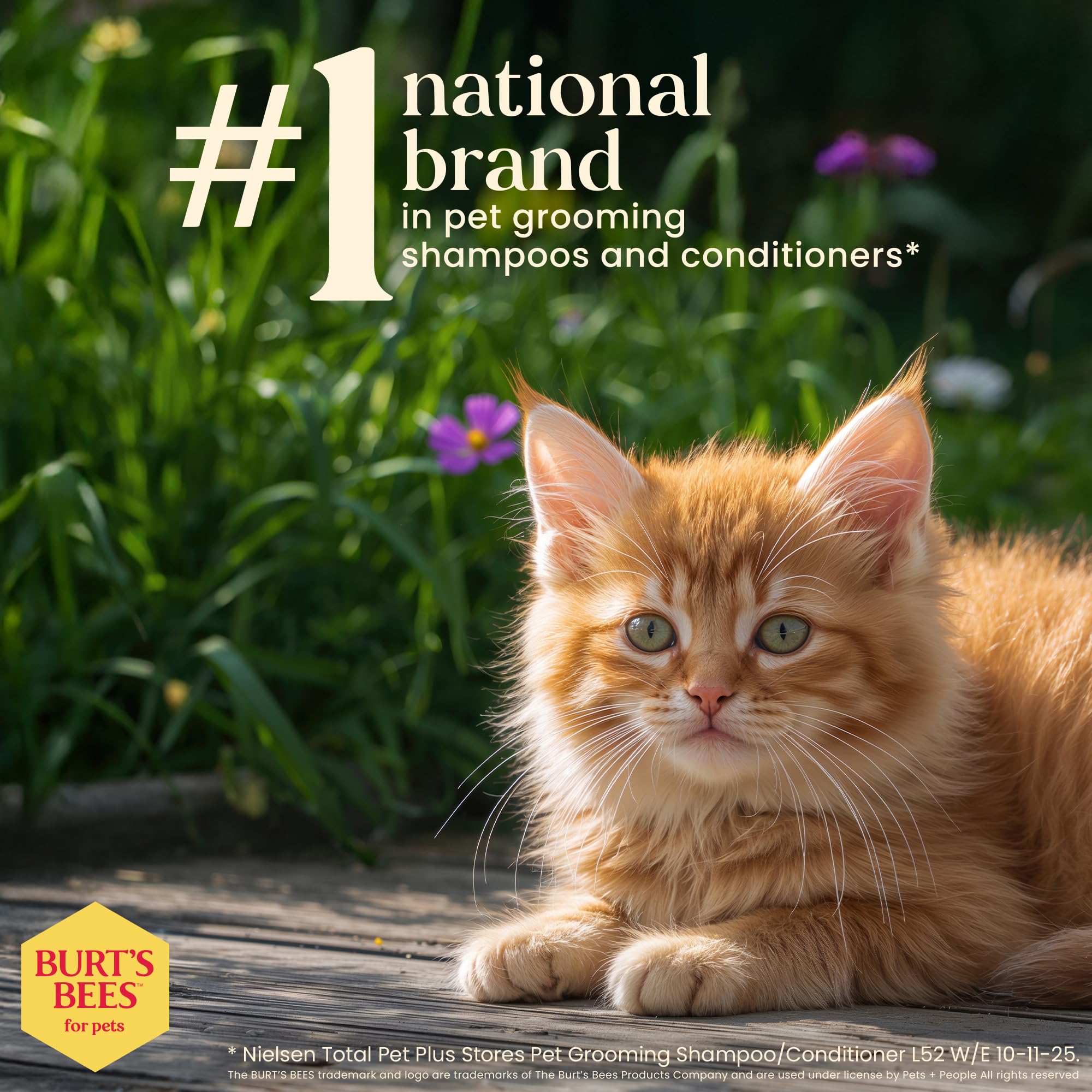 BURT'S BEES FOR PETS: piel y pelaje nutridos sin químicos agresivos