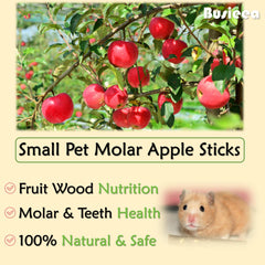 Busieea Palitos de Manzana: masticación dental para roedores.