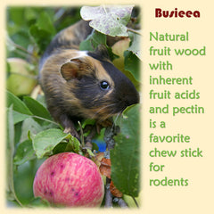 Busieea Palitos de Manzana: uso múltiple para conejos, cobayas y otros roedores.