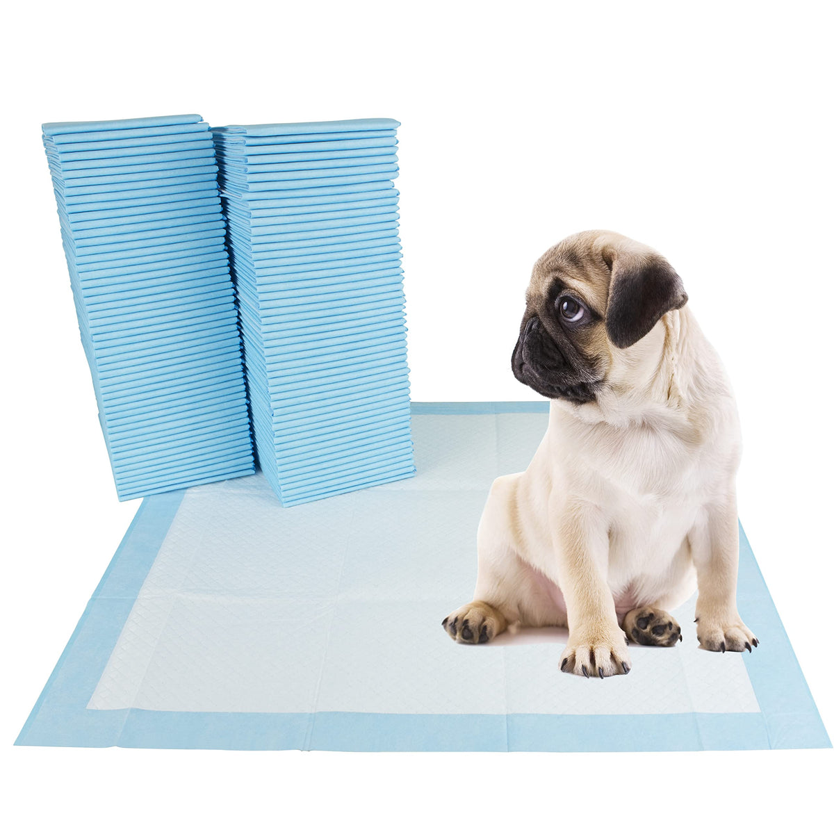 BV Almohadillas para Cachorros XL 34x28 frontal: gran superficie para entrenar en casa y evitar goteos.
