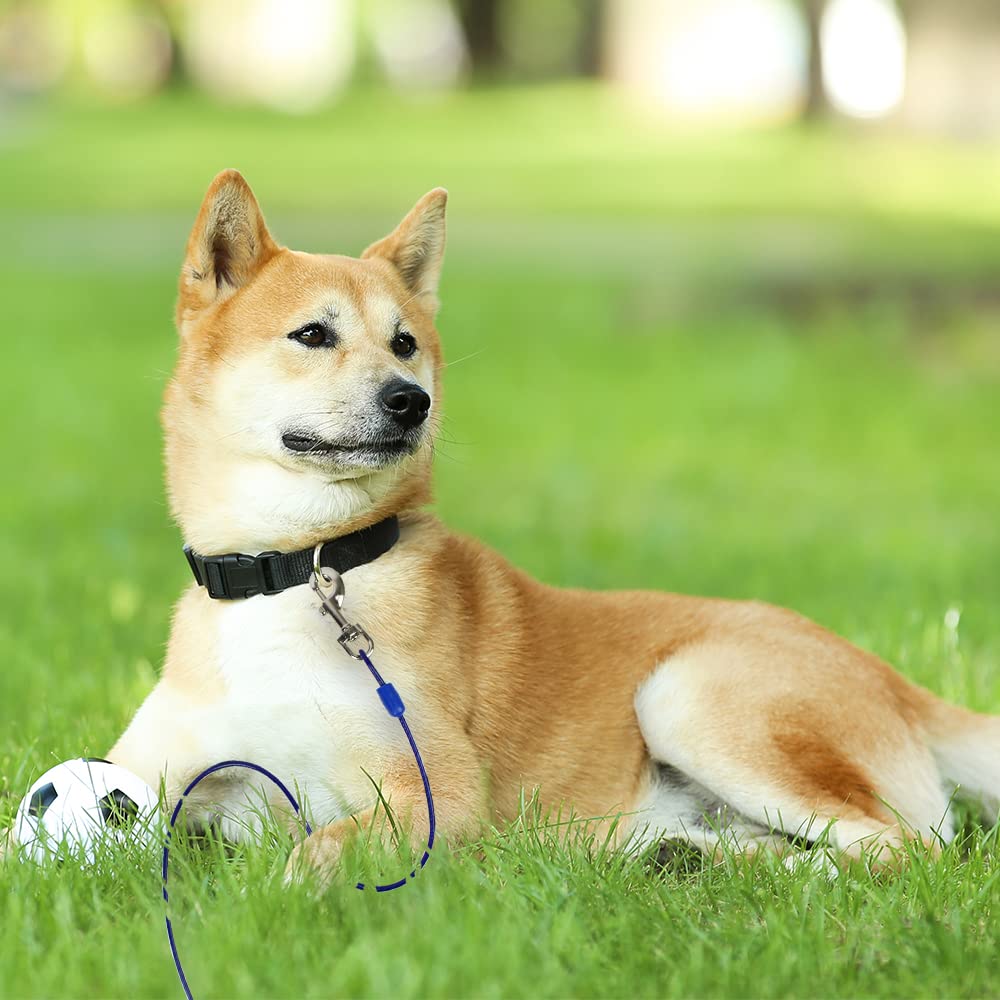 BV Cable de sujeción para dos perros en patios amplios