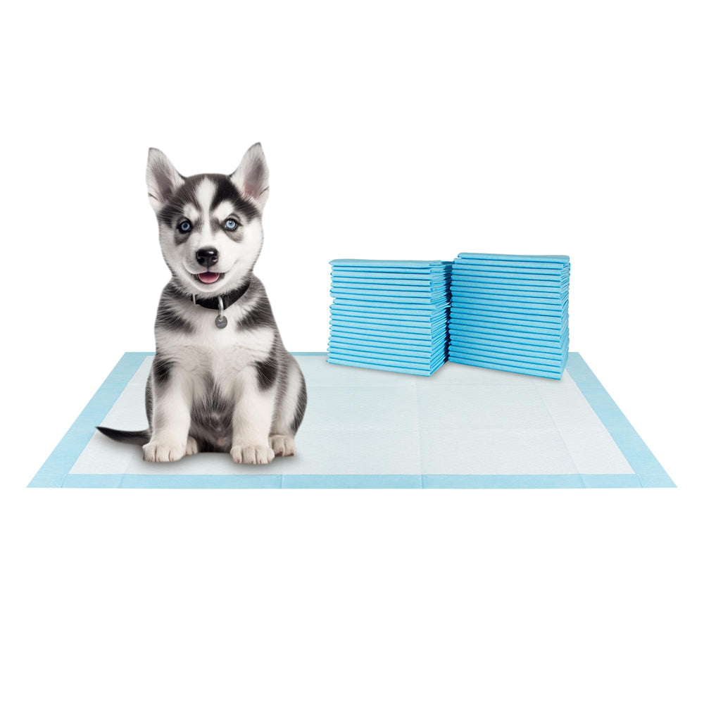 BV XXL Puppy Pads mantienen suelos secos y limpios