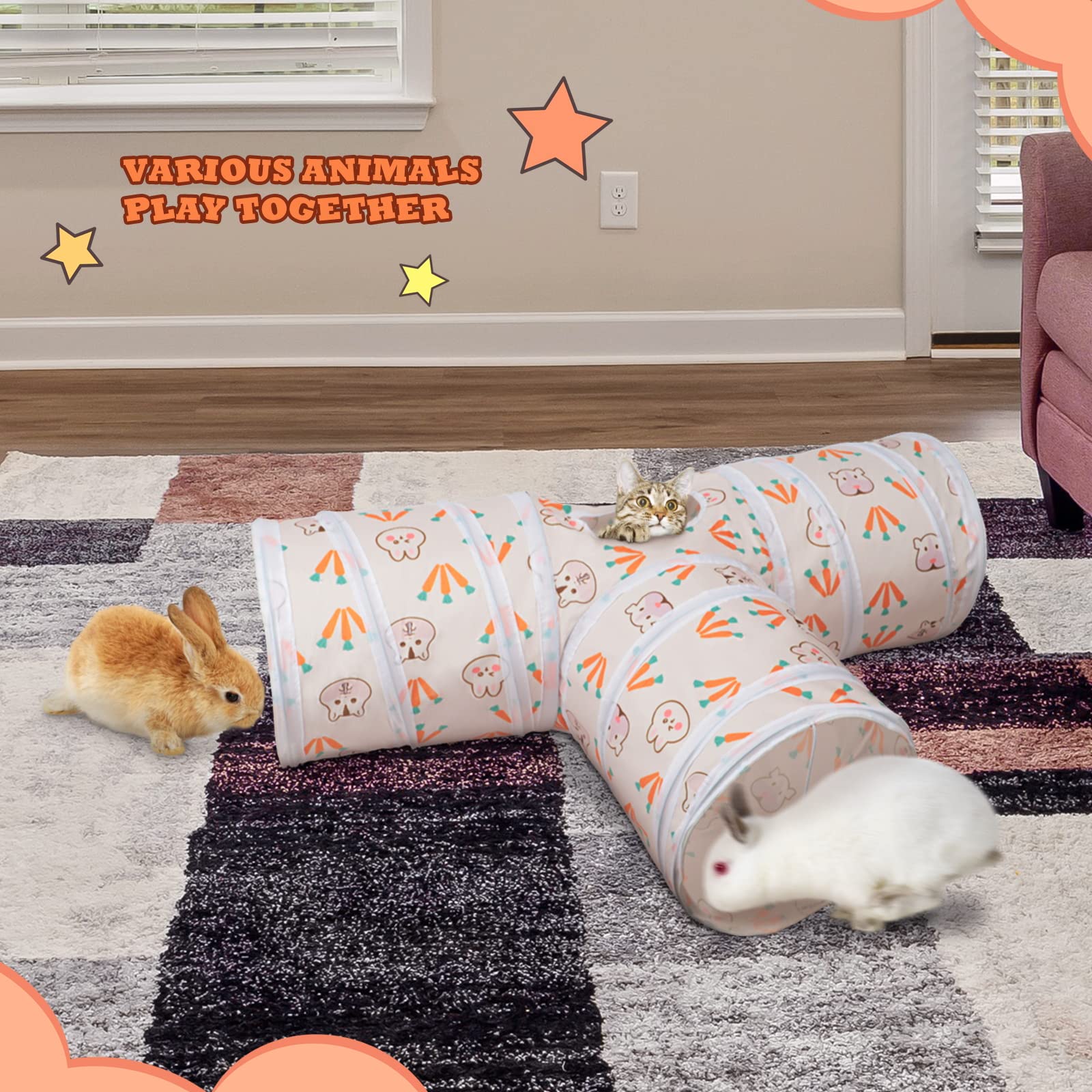 BWOGUE tunel de exploracion para mascotas pequeñas, fomenta curiosidad