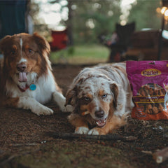 Cadet brochette porc-poulet-foie: saveur riche pour chien gourmet
