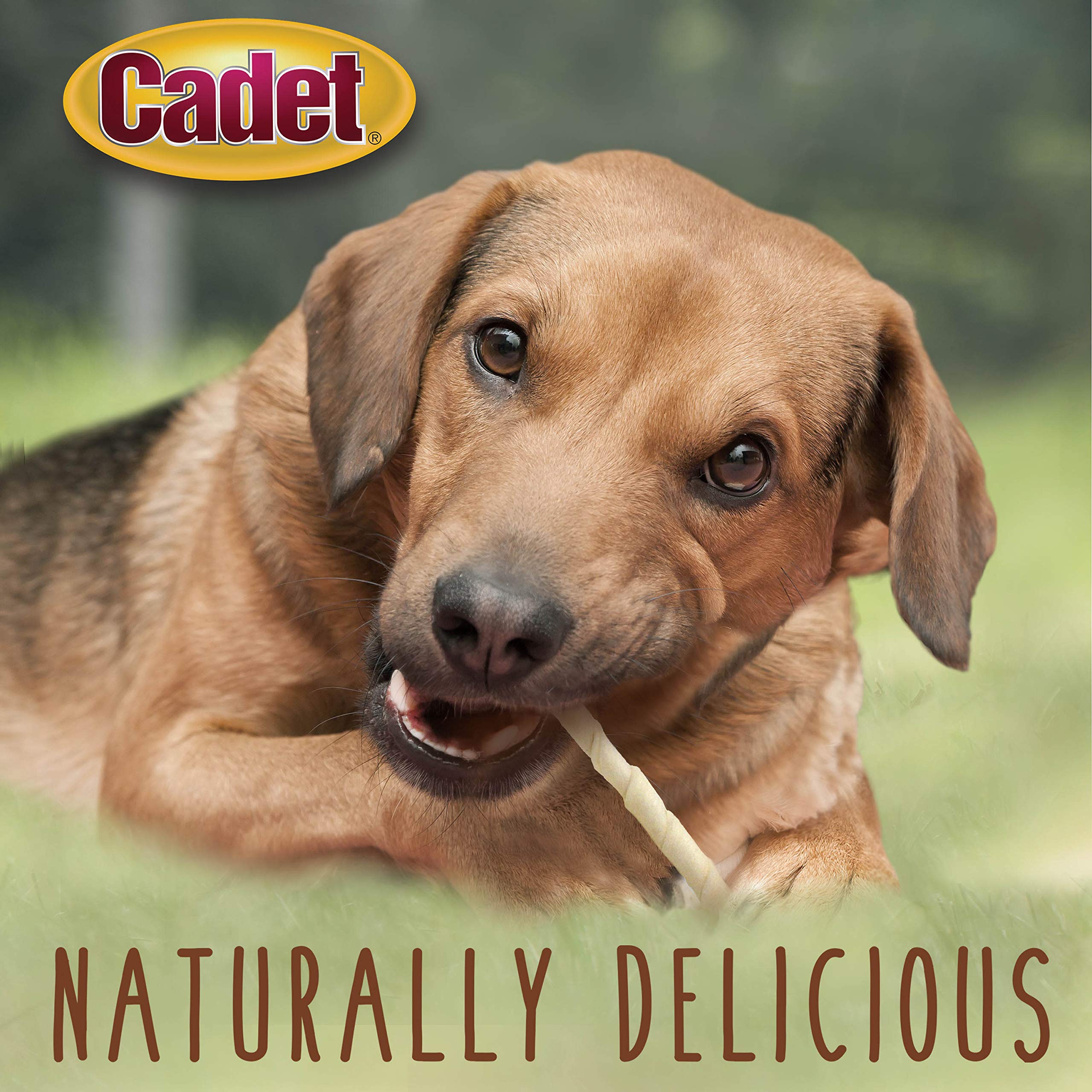 Cadet producto de calidad, inspeccionado para seguridad y consistencia