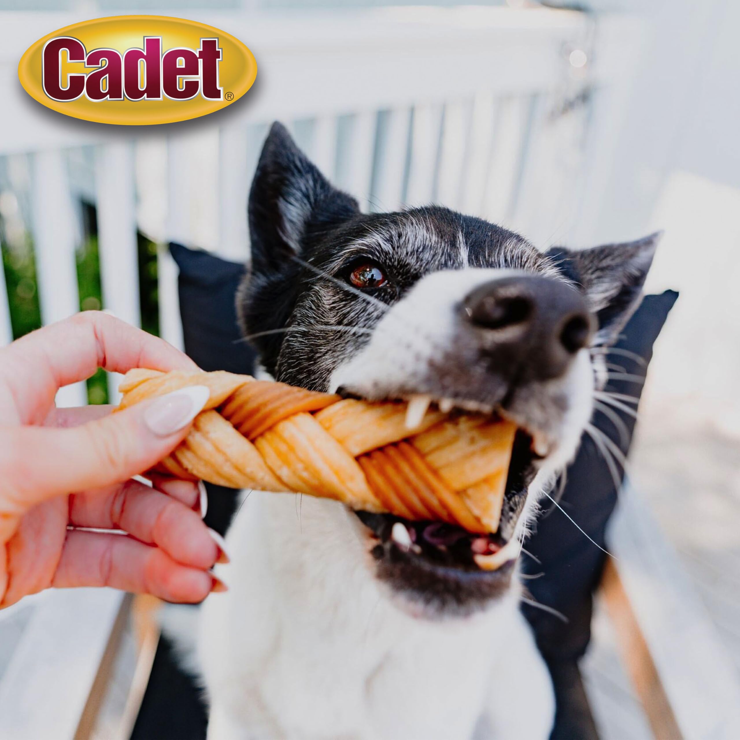 Cadet Chewalicious forma trenzada: textura atractiva para perros curiosos.