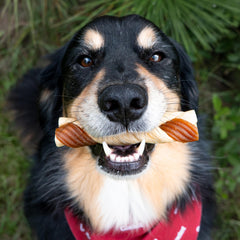 Cadet Chewalicious pollo real: sabor natural para perros.