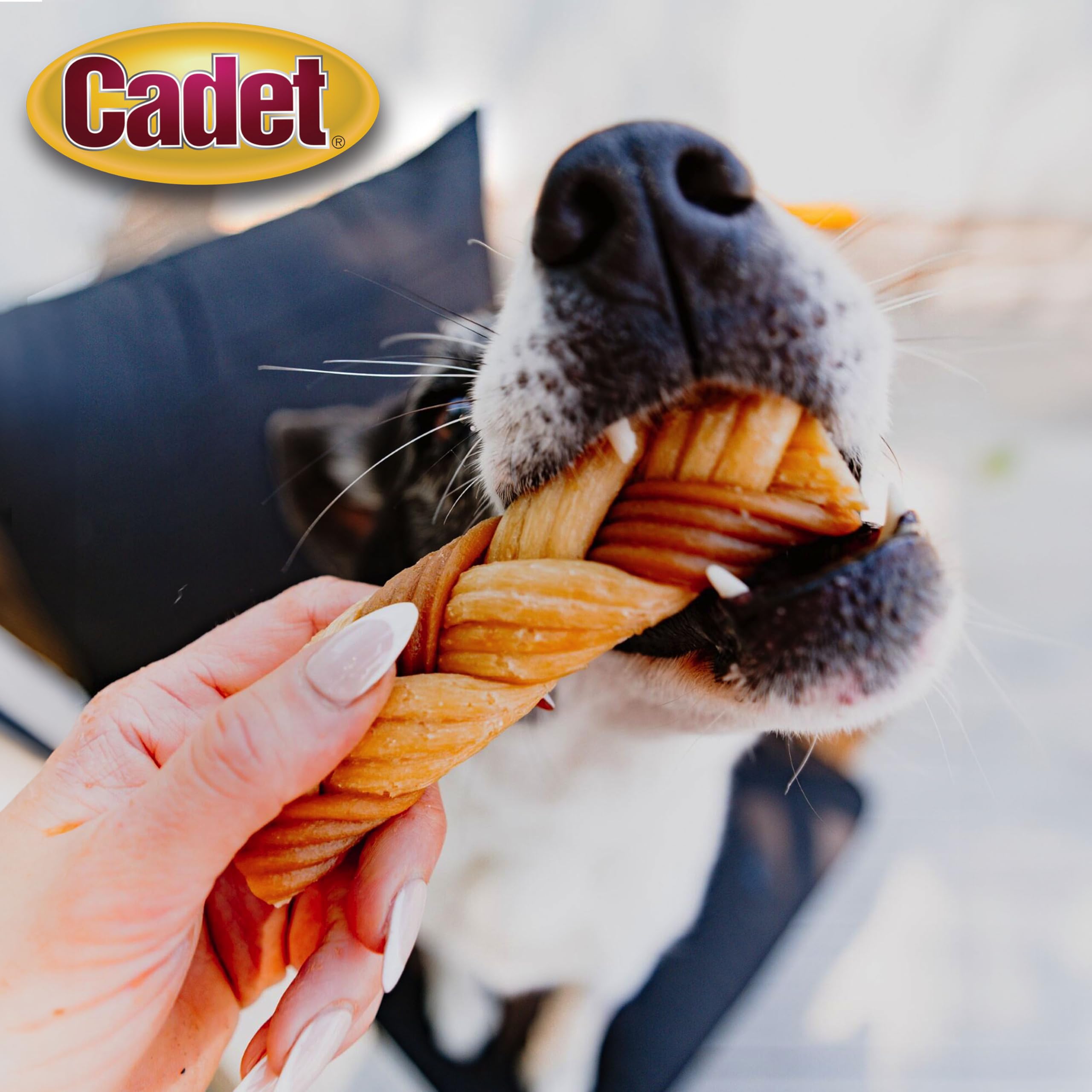 Cadet Chewalicious sin colorantes ni conservantes: snack natural.