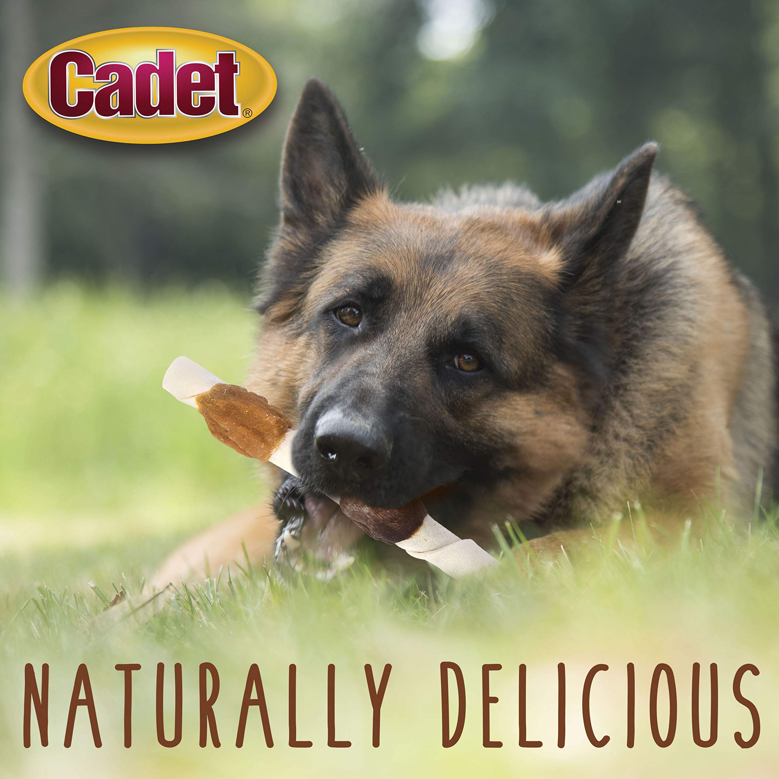 Cadet Gourmet brochetas para perros grandes, masticación agradable y prolongada