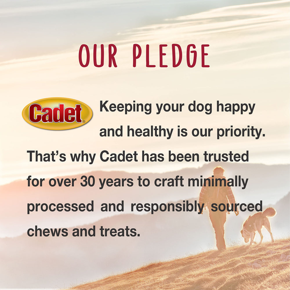 Cadet Jerky pato para perros de todos los tamaños