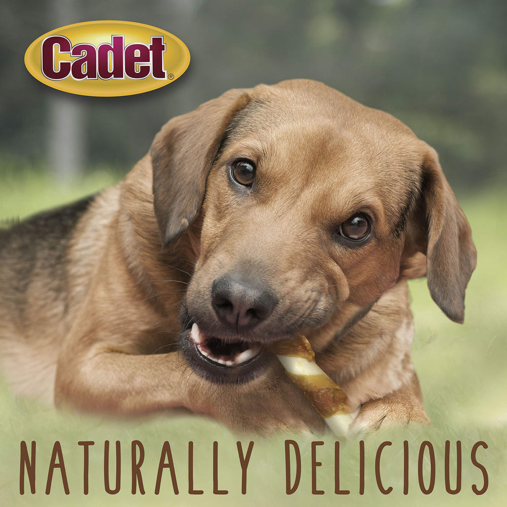 Cadet Gourmet nettoyage dents boeuf-poulet, peut soutenir la mastication.