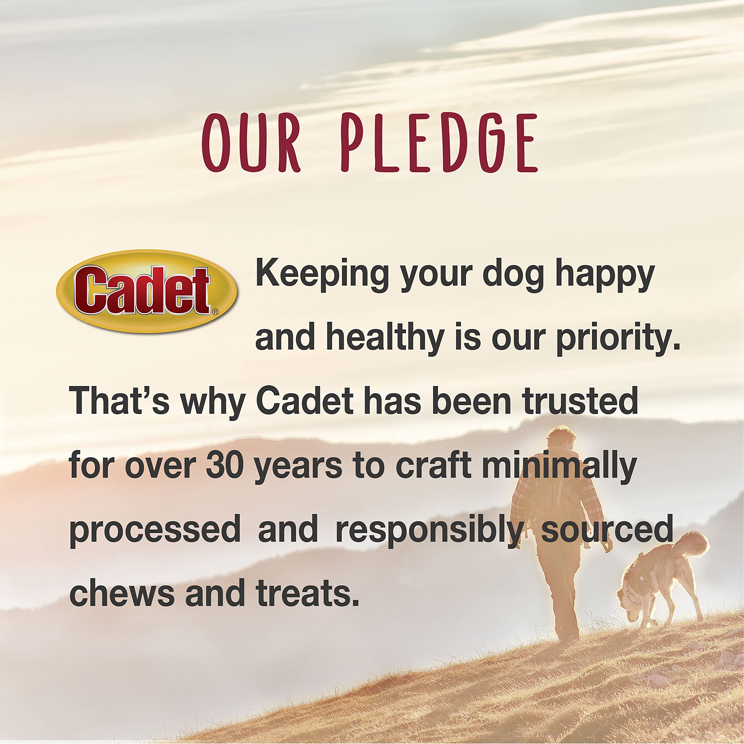 Cadet Gourmet Shish Kabob: sin colorantes artificiales, snack saludable para perros.