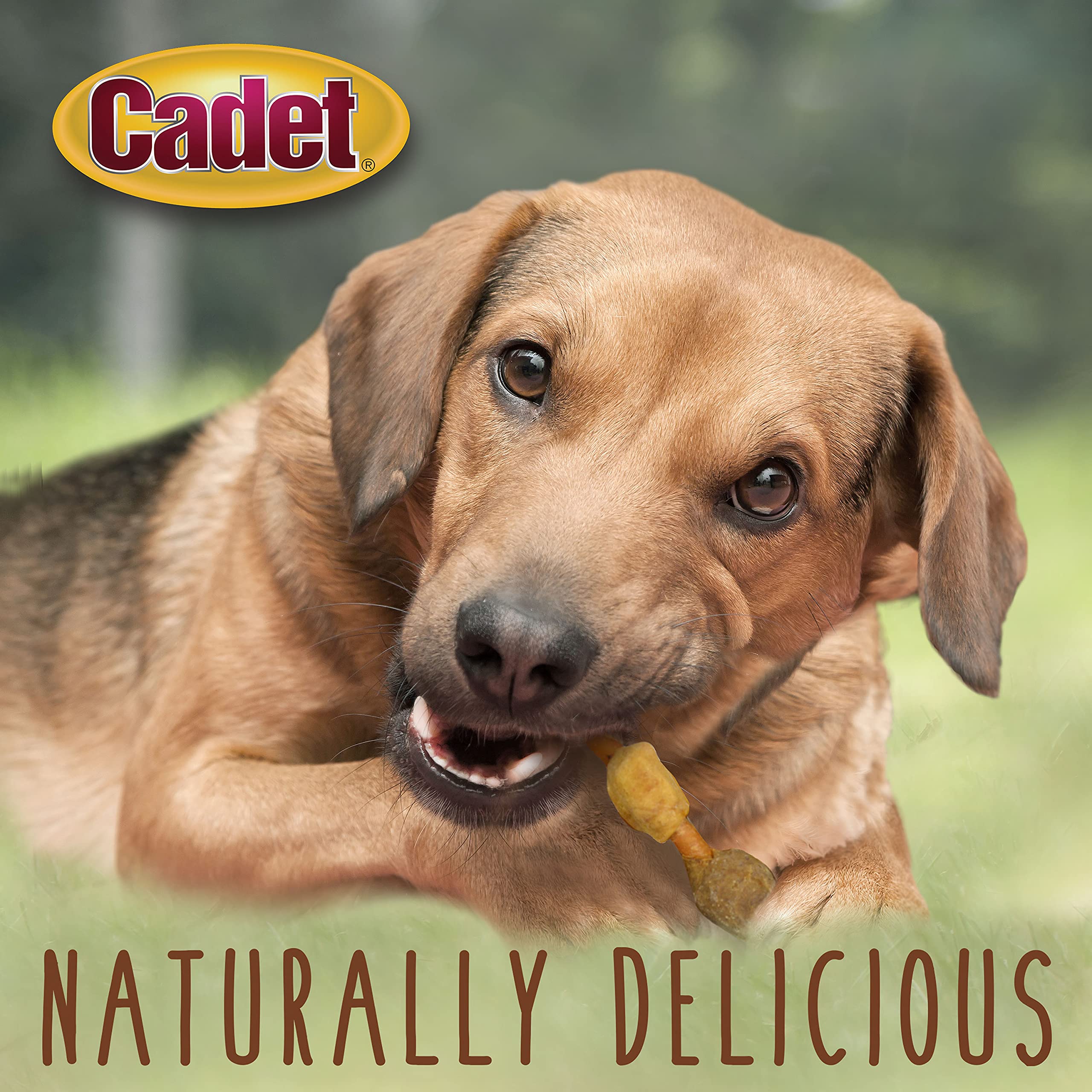 Cadet Gourmet Shish Kabob: pollo, hígado y batata en cada bocado para perros.