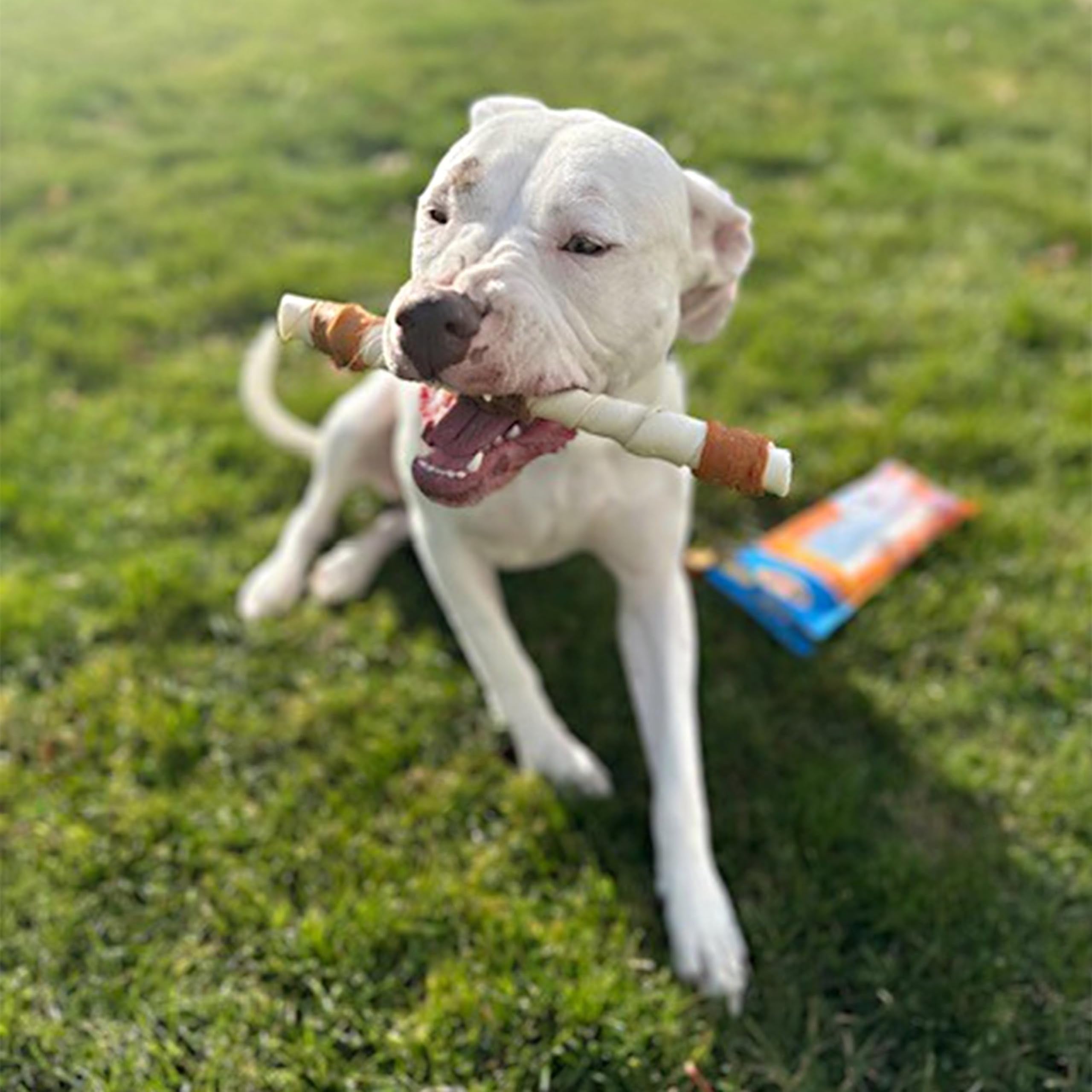 Cadet Gourmet sin colorantes ni rellenos, snack natural para perros grandes
