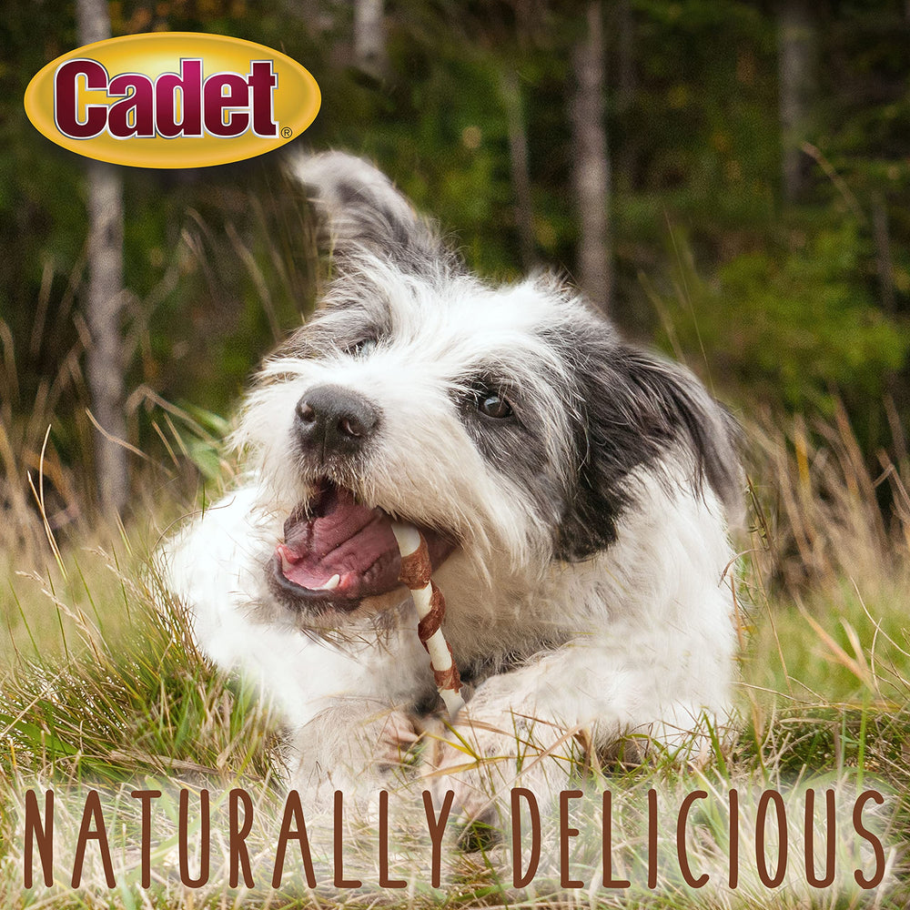 Cadet Gourmet, 50 unidades, snack duradero para sesiones de juego largas.
