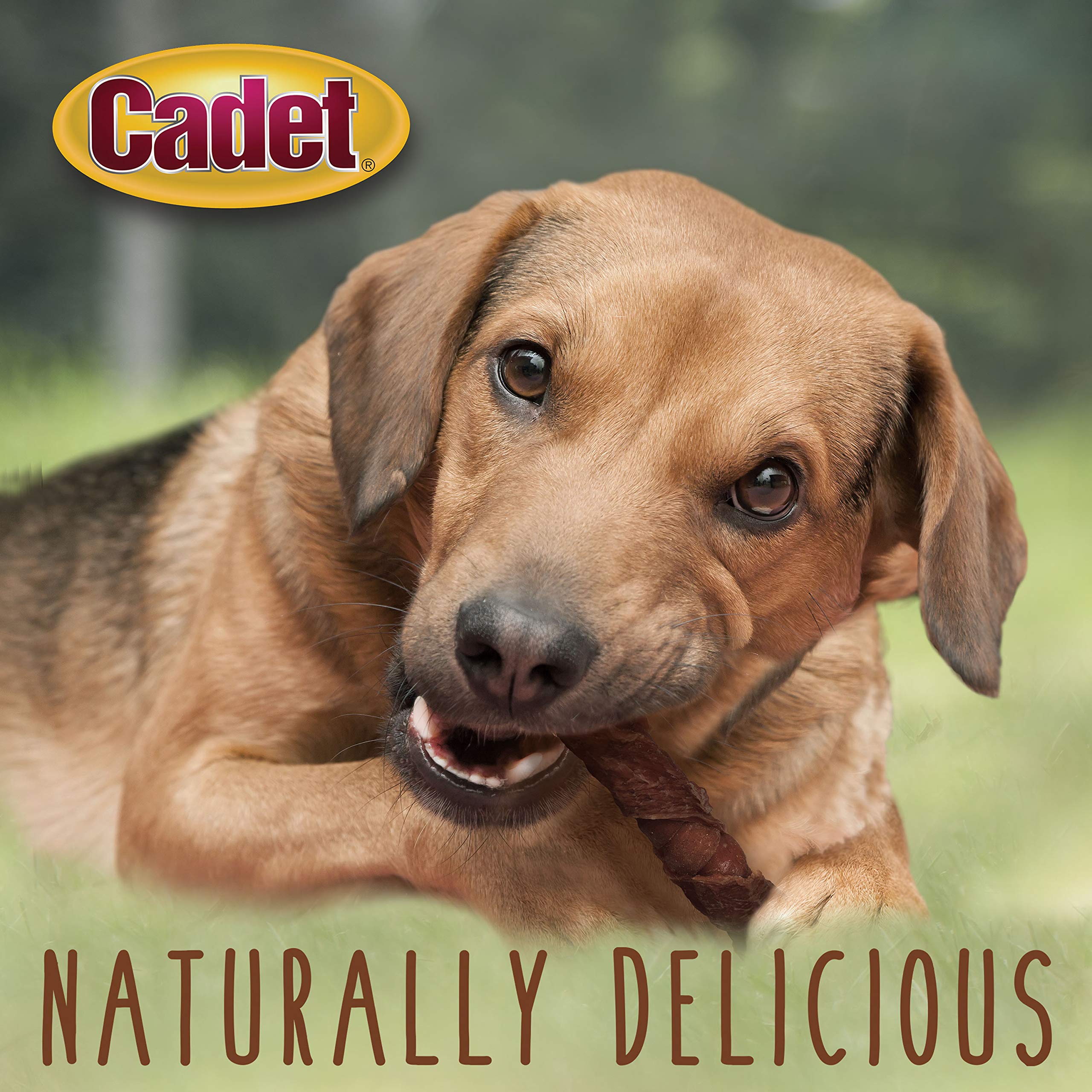 Cadet Gourmet Triple Chews envuelto en pecho de pato para sabor premium.