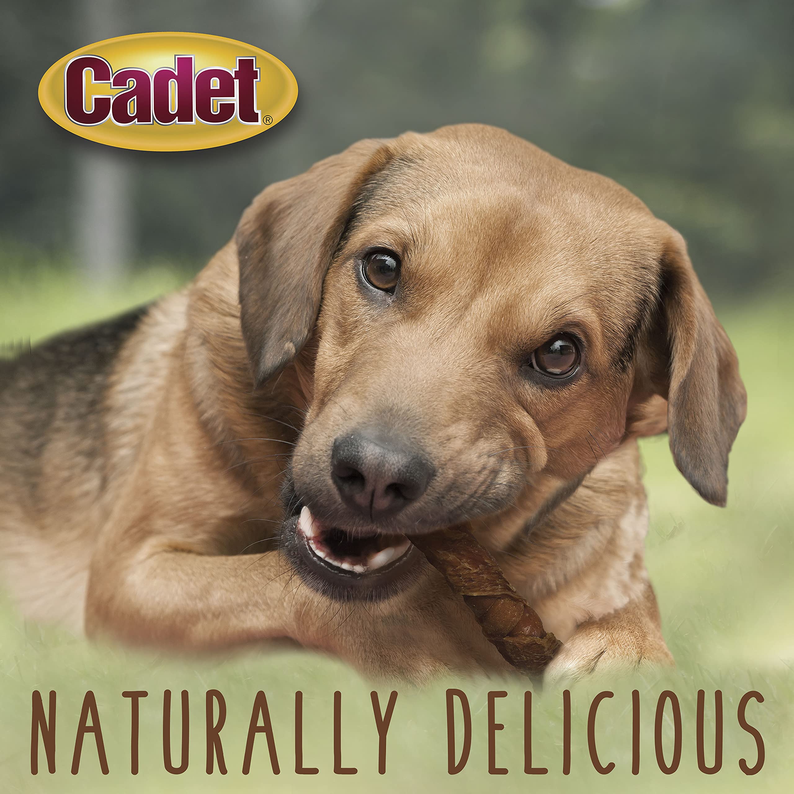 Cadet Gourmet Triple Chews: combinación 3 en 1 para variedad en cada mordida.