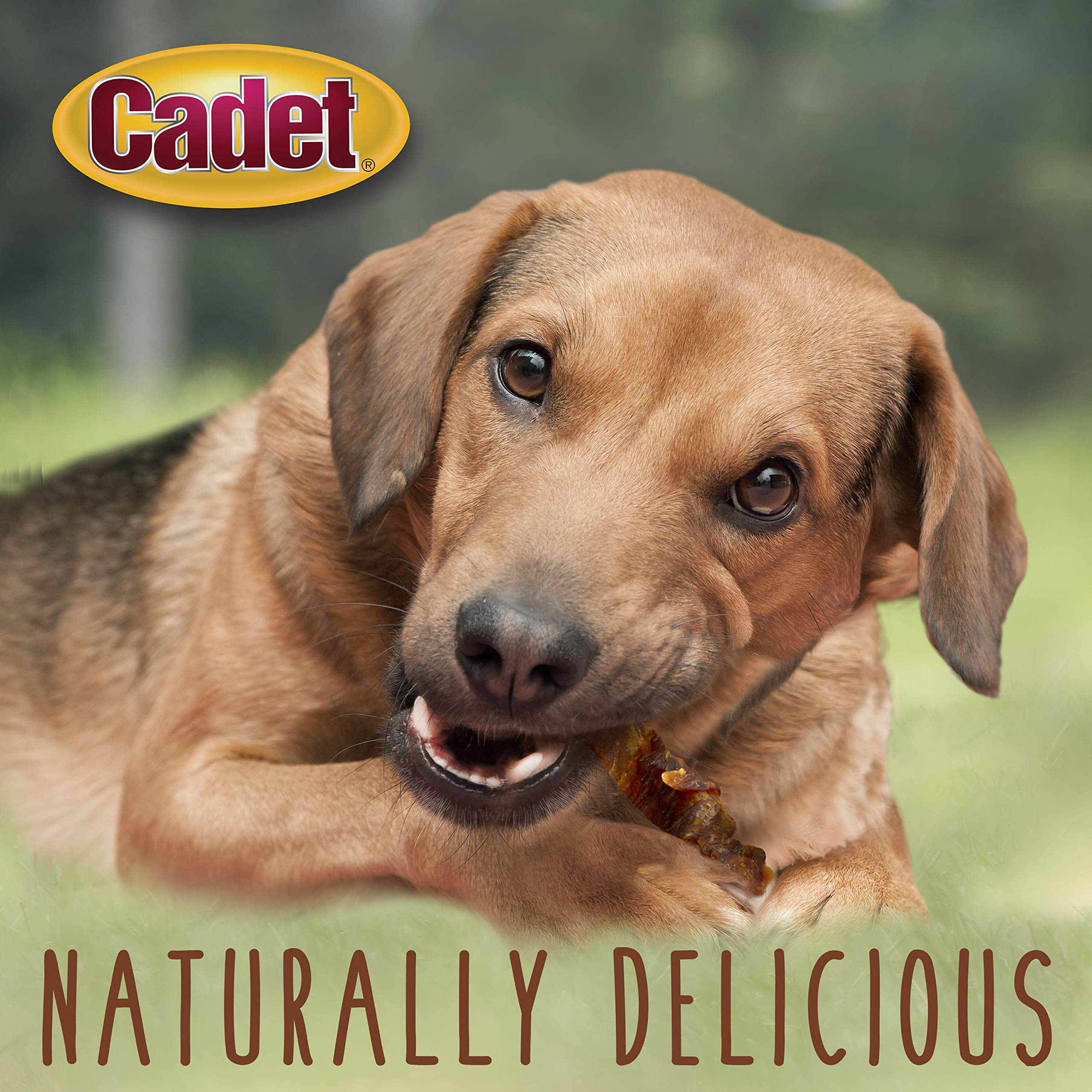 Cadet Gourmet Wraps: ingrediente limitado sin colorantes para snacks