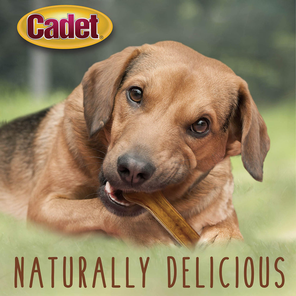 Cadet hueso natural presado de res, 8 pulgadas, opción sabrosa para perros