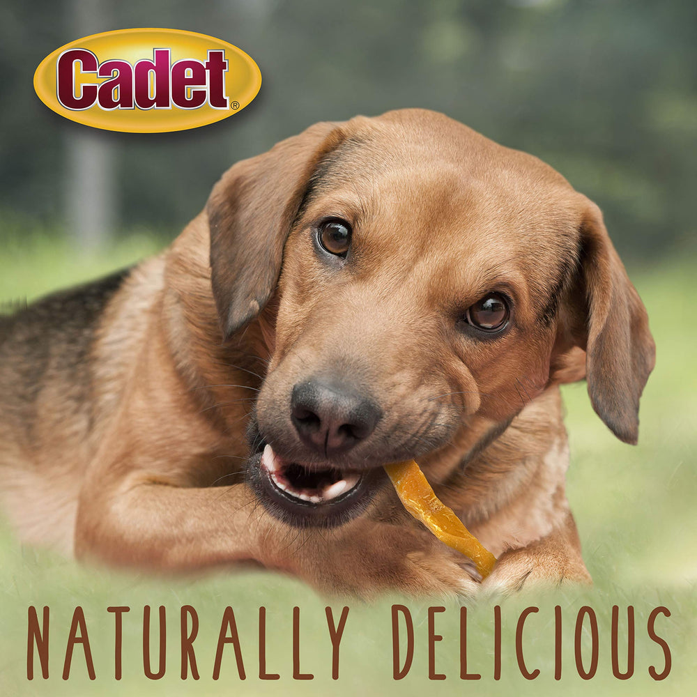 Cadet ideal para entrenamiento: recompensa masticable y sabrosa
