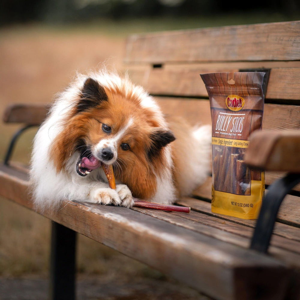 Cadet palitos de ternera proteina-alta-bajo-grasa: snack nutritivo para perros activos